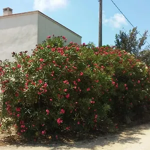 Pequena En El Centro Del Delta Del Ebro Сasa de vacaciones